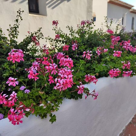 Dona Lola , Luminoso Apartamento Calahonda, Mijas Sitio de Calahonda Zewnętrze zdjęcie