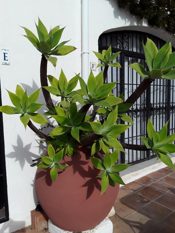 Dona Lola , Luminoso Apartamento Calahonda, Mijas Sitio de Calahonda Zewnętrze zdjęcie
